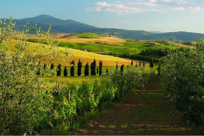 Le Traverse Bed & Breakfast Pienza Exterior photo