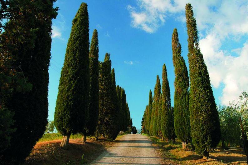 Le Traverse Bed & Breakfast Pienza Exterior photo